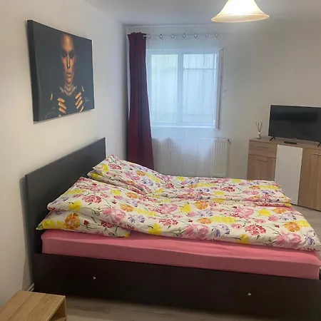 Apartment Flowers Confort Timisoara