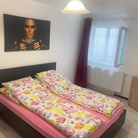Apartment Flowers Confort Timisoara