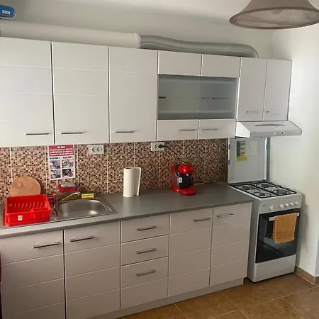 Flowers Confort ティミショアラ