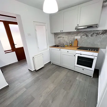 Flowers Confort ティミショアラ