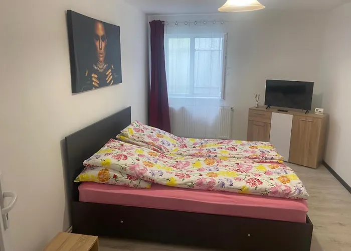 Apartment Flowers Confort Timisoara