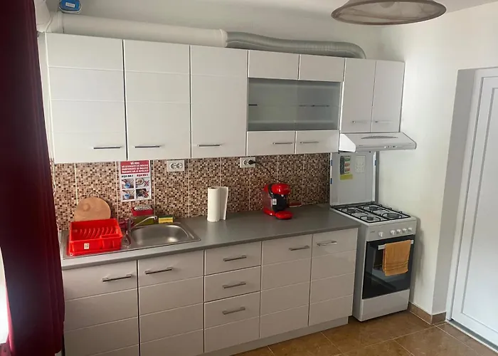 Flowers Confort Timisoara