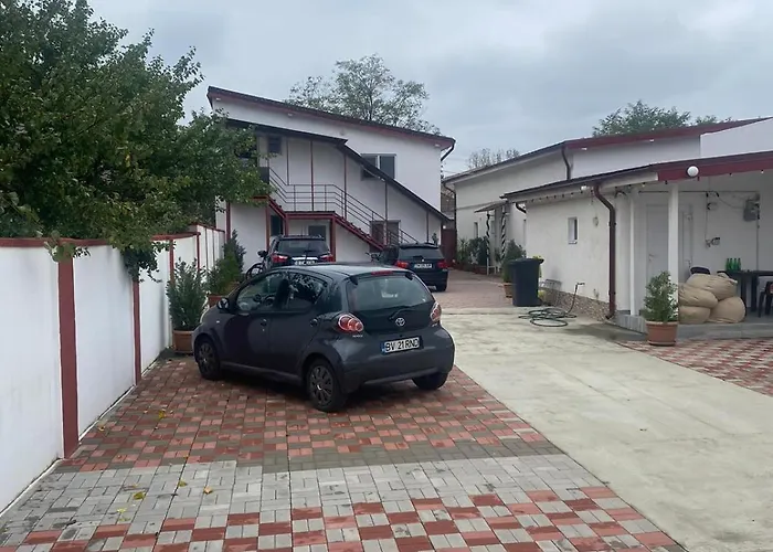 Flowers Confort Timisoara