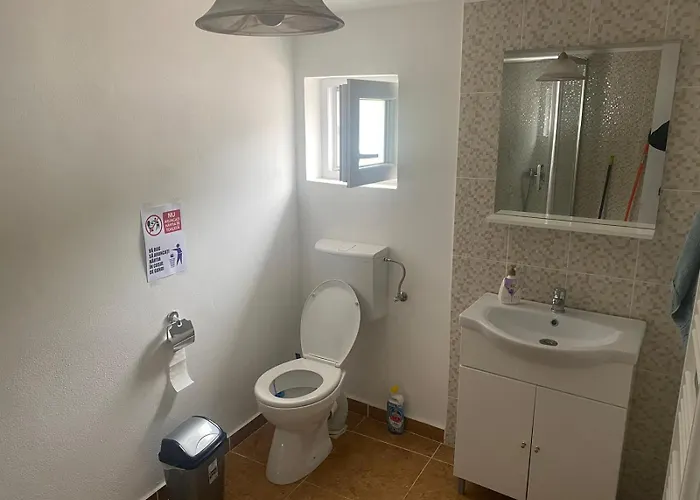 Apartment Flowers Confort Timisoara