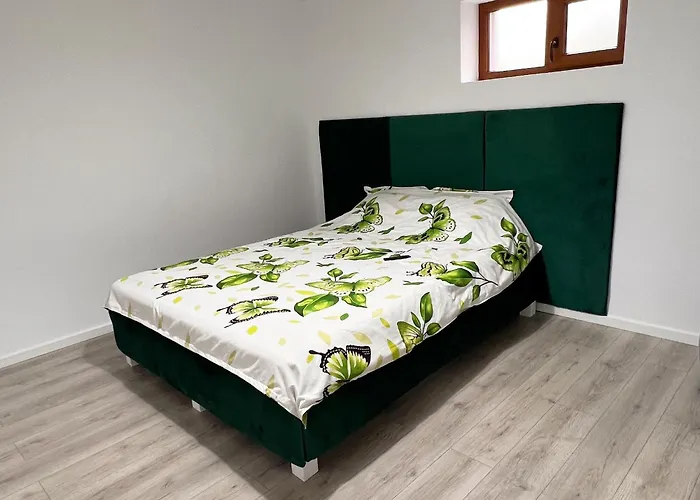 Apartment Flowers Confort Timisoara