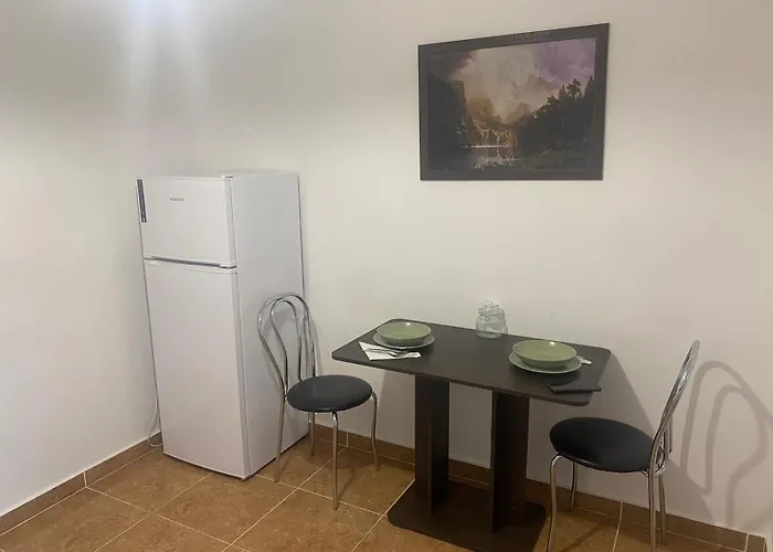 Flowers Confort Apartment Timisoara