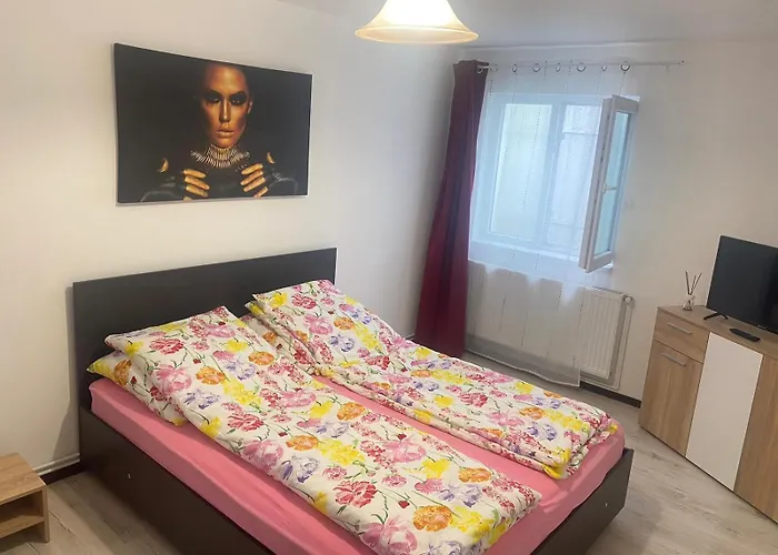 Apartment Flowers Confort Timisoara